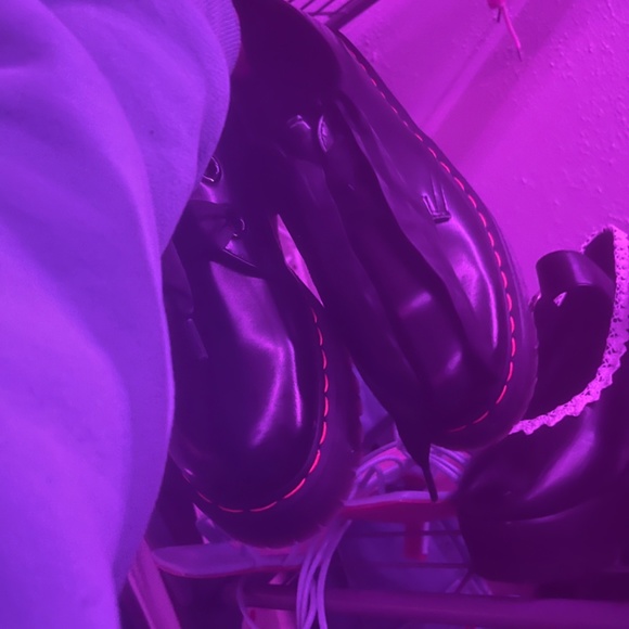 Doc Marten Holly's - Picture 4 of 4